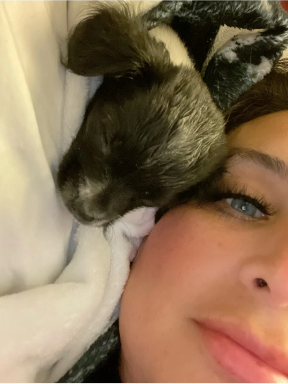 Tijuana Paws n Whiskers Rescue! ❤️